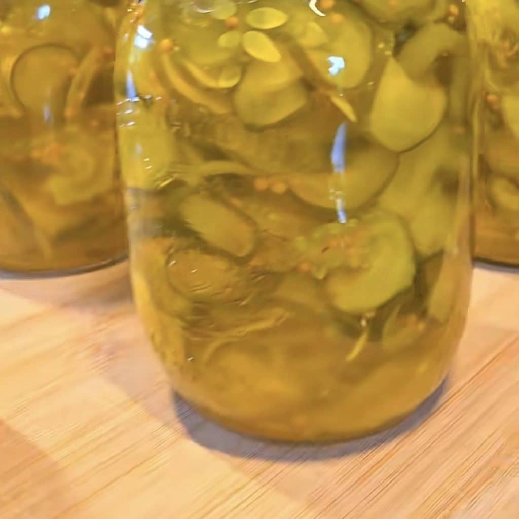 Pots de cornichons sucrés à l'aneth maison